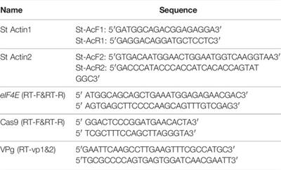 CRISPR/Cas9-Mediated Targeting of Susceptibility Factor eIF4E-Enhanced Resistance Against Potato Virus Y